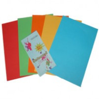A3 COLOURED BOARD 210G 5 SHEETS ASSORTED TOM-F482